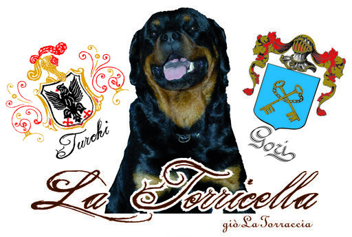 ROTTWEILER ‹LA TORRICELLA›